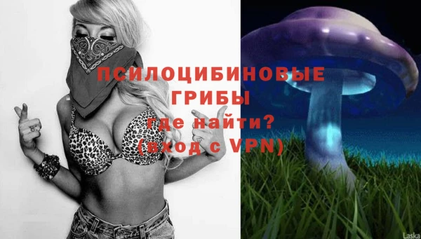 spice Алексин