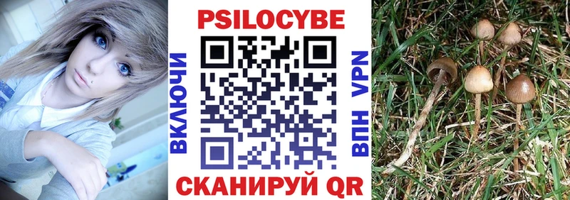 Псилоцибиновые грибы мухоморы  Бийск 